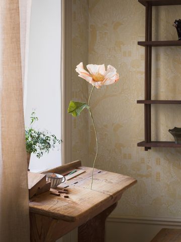 Купить обои для детской в Москве из каталога Fairyland от Borastapeter из Швеции с доставкой