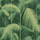 Обои Palm Jungle от Cole & Son арт. 112/1003. Плотные ветви пальмовых джунглей, цвета лесной зелени, создают яркий дизан и эффект глубины пространства с помощью цветовых градаций оттенков. Салон обоев, магазин обоев, купить обои Москва.