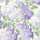 Обои Cole & Son - "Lilac" арт. 115/1004 - это изображение всеми любимого пышного кустарника сирени в сиреневом и сизом цвете на светлом фоне. Обои Cole & Son, английские обои, заказать онлайн