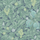 Купить английские флизелиновые обои Cole & Son® The Pearwood Collection Арт.116/2006. Обои c растительным рисунком с голубыми цветами. Обои с фруктами. Обои для кабинета, прихожей, для спальни. Большой ассортимент. Бесплатная доставка. Купить обои в интернет магазине.