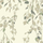 Обои Fardis - Kachura арт.117092 созданы, чтобы в точности воспроизвести  ощущение словно Вы сидите под сенью берёзы, чьи ласковые ветви грациозно покачиваются вокруг, где листья, на кремовом фоне структурного металлика, красиво бликуют на ветру. Английские обои, Обои Fardis, Каталог обоев.