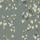 Обои Fardis - Kachura арт.117093 созданы, чтобы в точности воспроизвести  ощущение словно Вы сидите под сенью берёзы, чьи ласковые ветви грациозно покачиваются вокруг, где листья, на фоне серо-зелёного металлика, красиво бликуют на ветру. Стильный интерьер, дизайнерские обои, цена.