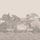 Пейзажное фотопанно Idyll Platinum Pearl / Идиллия, арт 120/1002M из каталога The Gardens, пр-во Cole&Son, Великобритания с рисунком природной идиллии фонтаном и павлинами на фоне перламутрового платинового цвета.