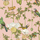 Детальный фрагмент флизелиновых обоев Baobab Botanica Blush арт. 129/2005 от Cole&Son каталог Ardmore Baobab, детальная прорисовка баобаба и роскошных птиц на нежно-розовом фоне.