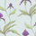 Обои Orchid с изображением пурпурных с зеленым орхидей на бледно-голубом фоне. Плавные контуры, тонкие линии и штриховка передают объем и красоту каждого цветка. Обои для спальни, гостиной. Большой ассортимент английских обоев в Москве.