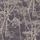 Обои Cow Parsley от Cole & Son с рисунком бежевых стеблей лесного купыря, увенчанных пышными зонтиками, выделяющихся на небрежно заштрихованном черном фоне. Английские обои. Купить обои для комнаты в салонах ОДизайн.