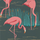 Оформить заказ обоев в прихожую арт. 112156 дизайн Salinas из коллекции Salinas от Harlequin, Великобритания с изображением фламинго розового цвета на черном фоне в интернет-магазине, онлайн оплата, бесплатная доставка до дома