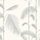 Обои Palm Leaves от Cole & Son с тонко прорисованными изящными стволами и широкими перистыми листьями пальм серых оттенков на фоне цвета слоновой кости будут великолепно смотреться в любом интерьере. Выбрать, заказать обои с бесплатной доставкой.