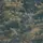 Цифровое панно для стен Tapestry Landscape Blue, арт. 9665W от Borastapeter с пышными деревьями, колышущейся травой и нежными полевыми цветами выполнены в палитре зеленых, желто-бежевых, синих, коричневых и бирюзовых тонов. Заказать в интернет-магазине ODesign с бесплатной доставкой по всей России.