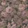 Цифровое панно для стен Rose Magnifique Purple, арт 9709W от Borastapeter – с крупным цветочным узором, где розы, наперстянки и другие цветы в бледно-розовом, сиреневом и тепло-зеленом цветах на черном фоне. Закажите эти изысканные обои в интернет-магазине ODesign. Бесплатная доставка по всей России. Цифровое панно для стен Rose Magnifique Purple, арт 9709W от Borastapeter – с крупным цветочным узором, где розы, наперстянки и другие цветы в бледно-розовом, сиреневом и тепло-зеленом цветах на черном фоне. Закажите эти изысканные обои в интернет-магазине ODesign. Бесплатная доставка по всей России.