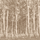 Фотообои из Швеции DM216-1 с изображением леса в цвете сепии.