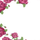 Фотопанно Rose garden, Mr. Perswall со стилизованным изображением бутонов и распустившихся восхитительных пышных роз малинового цвета, обрамленных изящными зелеными листьями. Выбрать, заказать фотопанно в интернет-магазине, бесплатная доставка.