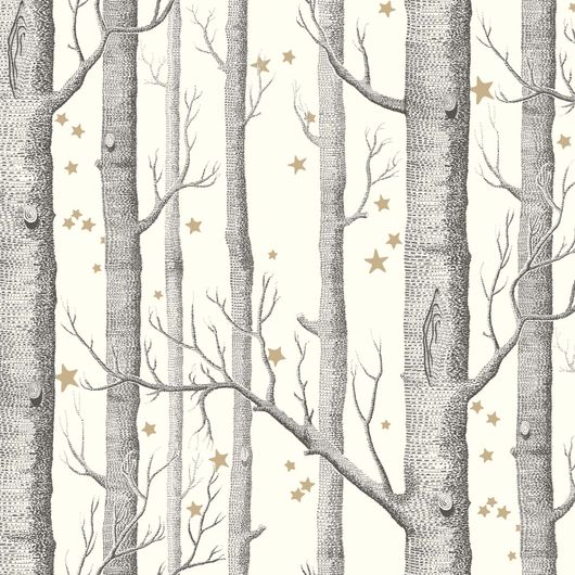 Обои Woods & Stars  ̶  это классический дизайн Cole & Son, с таинственным лесом из прорисованных мелкими штрихами деревьев в черно-белой гамме, дополненный мерцающими золотыми звездами. Купить обои для комнаты в салонах ОДизайн. Большой ассортимент.