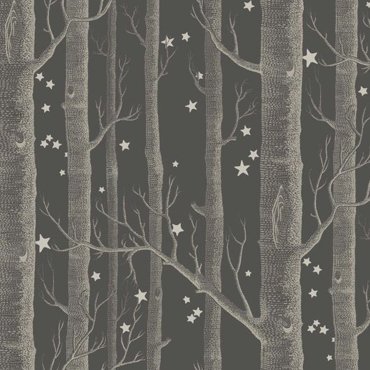Обои Woods & Stars  ̶  это классический дизайн Cole & Son, с таинственным лесом из прорисованных мелкими штрихами серебристых деревьев на угольно-черном фоне, дополненный мерцающими звездами. Купить обои для комнаты в салонах ОДизайн. Большой ассортимент.