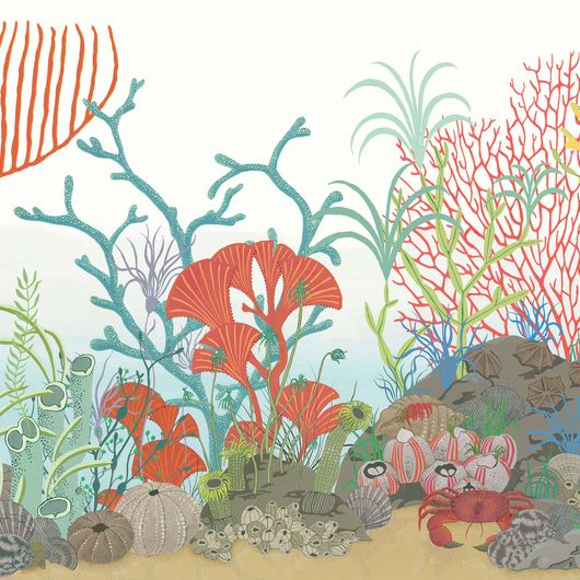 Многоцветный фриз Archipelago Border от Cole & Son представляет собой яркую картину удивительного подводного мира, где среди причудливых водорослей и кораллов обитают крабы, лангусты и диковинные раковины. Купить обои для гостиной, детской в интернет-магазине, онлайн оплата.