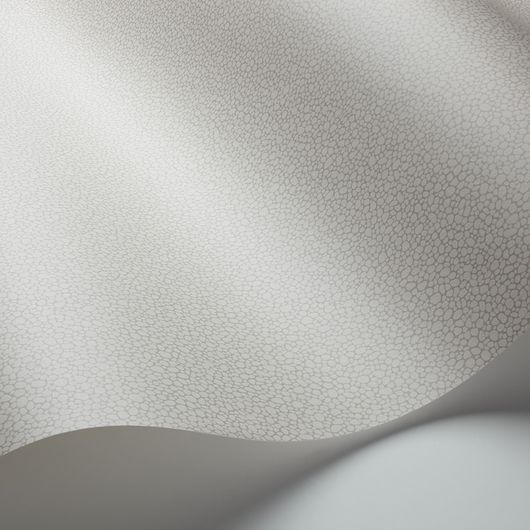 Обои из Великобритании коллекции Landscape Plains от COLE & SON. Pebble - мелкий крапчатый рисунок с шагреневым эффектом для фонового оформления интерьеров. Обои для лофта. коллекция, ассортимент, выбор.