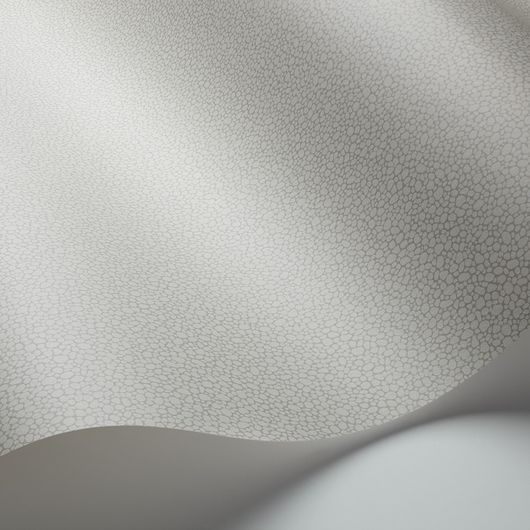 Обои из Великобритании коллекции Landscape Plains от COLE & SON. Pebble - мелкий крапчатый рисунок с шагреневым эффектом для фонового оформления интерьеров. Обои для гостиной. Каталог, ассортимент, выбор.