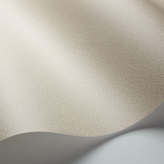 Обои из Великобритании коллекции Landscape Plains от COLE & SON. Pebble - мелкий крапчатый рисунок с шагреневым эффектом для фонового оформления интерьеров. Обои для спальни. Доставка, выбрать, купить.