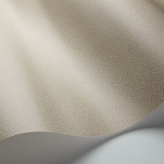Обои из Великобритании коллекции Landscape Plains от COLE & SON. Pebble - мелкий крапчатый рисунок с шагреневым эффектом для фонового оформления интерьеров. Обои для прихожей. Выбор, оплата, каталог.