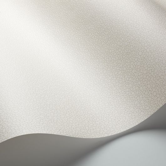Обои из Великобритании коллекции Landscape Plains от COLE & SON. Pebble - мелкий крапчатый рисунок с шагреневым эффектом для фонового оформления интерьеров. Обои для холла. Купить, заказать, оформить.