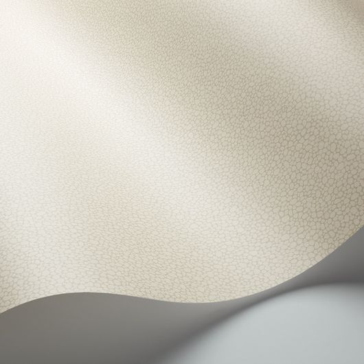 Обои из Великобритании коллекции Landscape Plains от COLE & SON. Pebble - мелкий крапчатый рисунок с шагреневым эффектом для фонового оформления интерьеров. Обои для кухни. Каталог, коллекция, выбор.