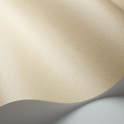 Обои из Великобритании коллекции Landscape Plains от COLE & SON. Pebble - мелкий крапчатый рисунок с шагреневым эффектом для фонового оформления интерьеров. Обои для зала. каталог, стоимость, доставка.