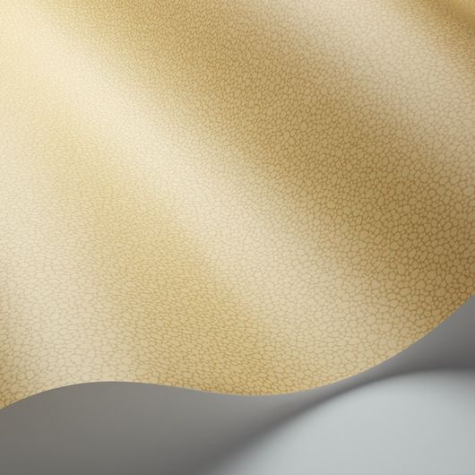 Обои из Великобритании коллекции Landscape Plains от COLE & SON. Pebble - мелкий крапчатый рисунок с шагреневым эффектом для фонового оформления интерьеров. Обои для комнаты. продажа, заказ, доставка.