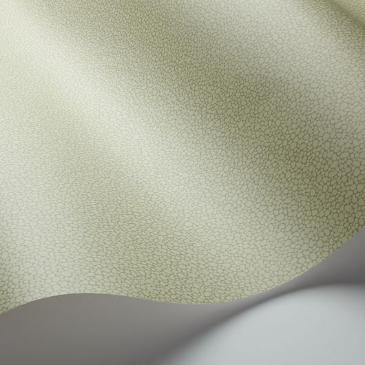 Обои из Великобритании коллекции Landscape Plains от COLE & SON. Pebble - мелкий крапчатый рисунок с шагреневым эффектом для фонового оформления интерьеров. Обои для спальни. Каталог, продажа, выбор.