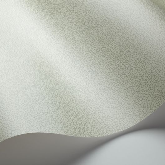 Обои из Великобритании коллекции Landscape Plains от COLE & SON. Pebble - мелкий крапчатый рисунок с шагреневым эффектом для фонового оформления интерьеров. Обои для прихожей. Ассортимент, продажа.