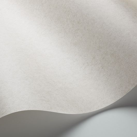 Сдержанные и элегантные обои Cordovan от Cole & Son светло-серого оттенка с рисунком, имитирующим мягкую дубленую кожу. Выбрать обои для гостиной, холла в магазине, большой ассортимент.