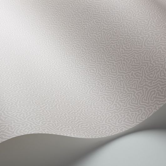 Обои Coral от Cole & Son в оттенках серого с вариацией канонического дизайна блоковой печати Vermicell в уменьшенном формате. Выбрать, заказать обои для кабинета в интернет-магазине.