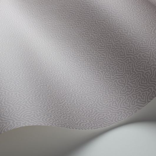 Обои Coral от Cole & Son в прохладных оттенках серого с вариацией канонического дизайна блоковой печати Vermicell в уменьшенном формате. Выбрать, заказать обои для кабинета в интернет-магазине.