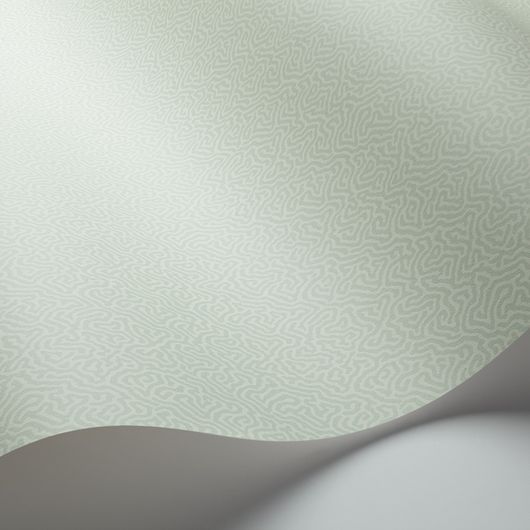 Обои Coral от Cole & Son светло-зеленого оттенка с вариацией канонического дизайна блоковой печати Vermicell в уменьшенном формате. Выбрать, заказать обои для гостиной, спальни в интернет-магазине.