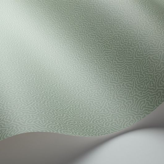 Обои Coral от Cole & Son выразительного серо-зеленого оттенка с вариацией канонического дизайна блоковой печати Vermicell в уменьшенном формате. Выбрать, заказать обои для прихожей, спальни в интернет-магазине.