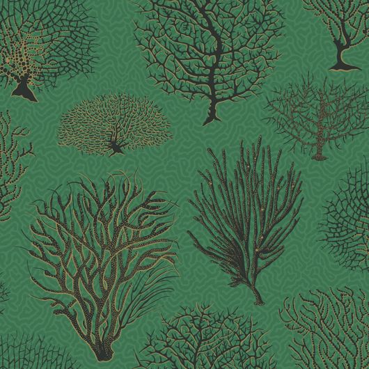 Обои Seafern от Cole & Son созданы по мотивам ботанических гравюр конца XVIII века с изображением различных видов кораллов черного с золотом цвета. В качестве фона использован узор “Vermicelli” из архива фабрики изумрудного оттенка. Обои для гостиной, спальни купить в интернет-магазине, онлайн оплата.
