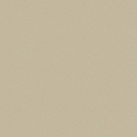 Мраморная текстура обоев  Goldstone от Cole & Son мерцает множеством светло-бронзовых вкраплений на фоне цвета слоновой кости. При взгляде с некоторого расстояния детали сливаются в мягком радужном сиянии. Купить обои для спальни, коридора в салонах Москвы.
