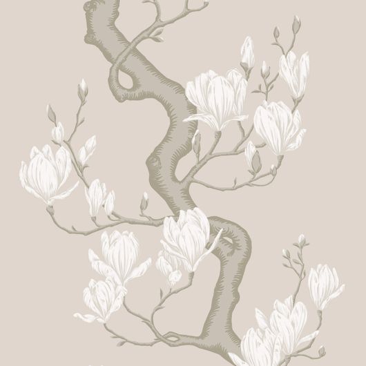 Купить премиальные обои Magnolia Tree арт. 128/1003 от Cole & Son из коллекции Classics II. Детализированный классический узор дерева Магнолия на кремовом фоне. Детальный рисунок, демонстрирующий качество печати.