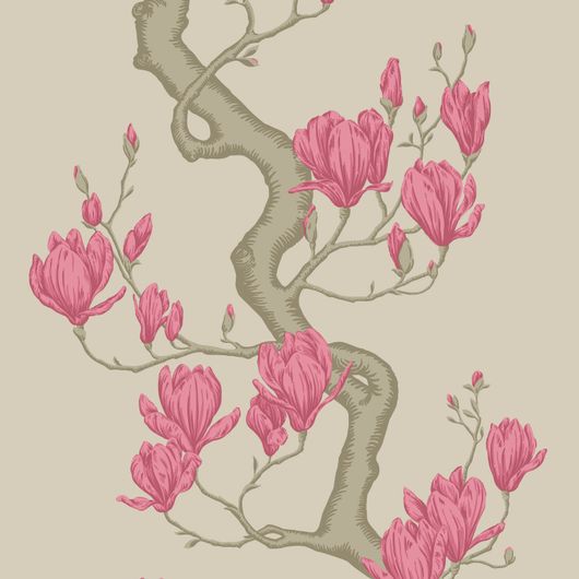 Купить премиальные обои Magnolia Tree арт. 128/1006 от Cole & Son из коллекции Classics II. Детализированный классический узор дерева Магнолия на бежевом фоне. Детальный рисунок, демонстрирующий качество печати. Обои для стен спальни, гостинной, прихожей или зала.