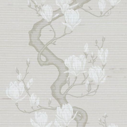 Купить премиальные шелковые обои Magnolia Tree арт. 128/10075 от Cole & Son из коллекции Classics II. Детализированный классический узор дерева Магнолия на кремовом фоне. Детальный рисунок, демонстрирующий качество печати.