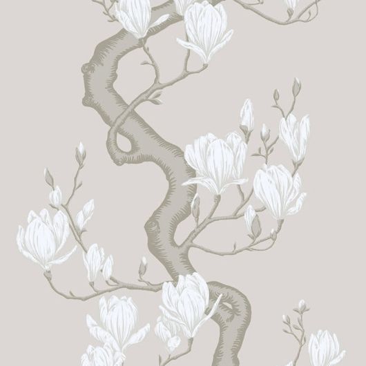 Купить премиальные шелковые обои Magnolia Tree арт. 128/10085 от Cole & Son из коллекции Classics II. Детализированный классический узор дерева Магнолия на кремовом фоне. Детальный рисунок, демонстрирующий качество печати.