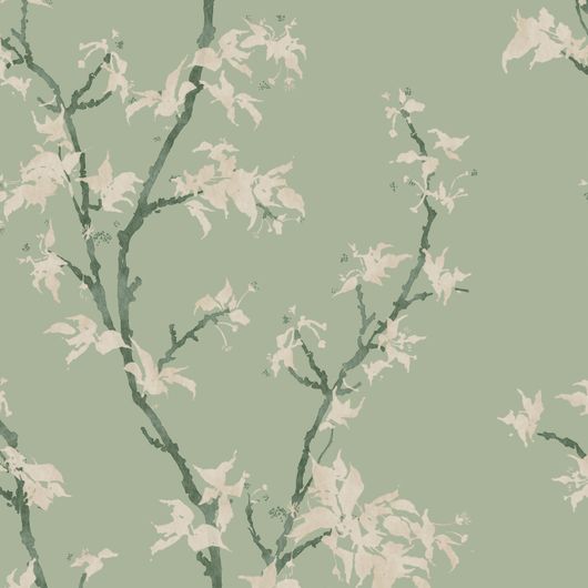 Крупный план рисунка премиальных обоев Chinese Branch арт. 128/3014 от Cole & Son из коллекции Classics II. Классический акварельный узор ветвей китайского дерева в нежном зеленом цвете с кремовыми листьями, демонстрирующий качество печати. Английские обои для стен в спальне, гостинной, коридора или столовой.