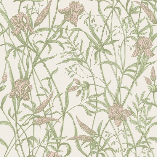 Купить премиальные обои  Iris арт. 128/5025 от Cole & Son из коллекции Classics II для стен. Детализированный рисунок цветков и листьев ириса на мягком кремовом фоне, демонстрирует качество печати. Английские обои для стен в спальне, гостинной, коридора или столовой.