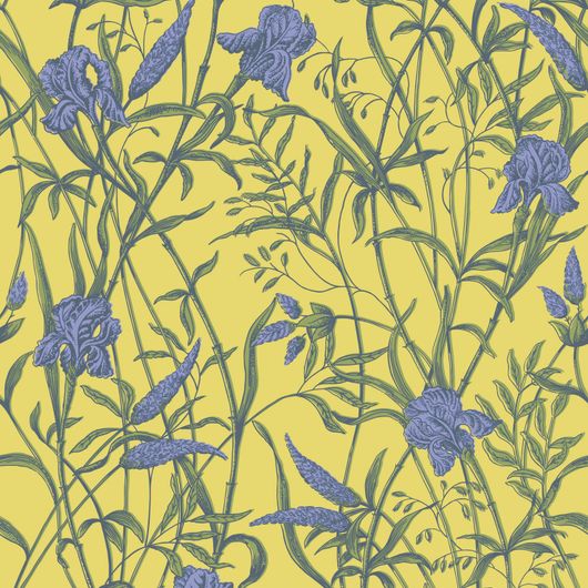 Купить премиальные обои  Iris арт. 128/5027 от Cole & Son из коллекции Classics II для стен. Детализированный рисунок цветков и листьев ириса на желтом лютиковом фоне, демонстрирует качество печати. Английские обои для стен в спальне, гостинной, коридора или столовой.