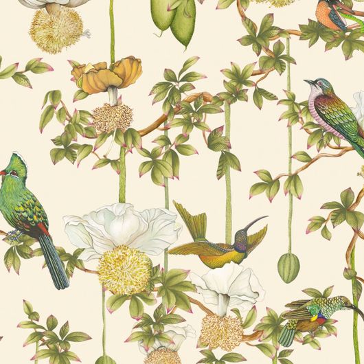 Флизелиновые обои Baobab Botanica Stone арт. 129/2004 от Cole&Son каталог Ardmore Baobab, детальная прорисовка светлые обои с баобабом и животными.