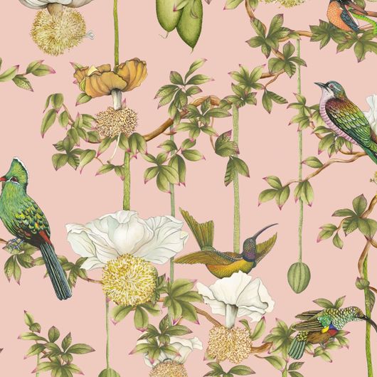 Детальный фрагмент флизелиновых обоев Baobab Botanica Blush арт. 129/2005 от Cole&Son каталог Ardmore Baobab, детальная прорисовка баобаба и роскошных птиц на нежно-розовом фоне.