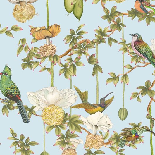 Детальный фрагмент флизелиновых обоев Baobab Botanica Sky Blue арт. 129/2007 от Cole&Son каталог Ardmore Baobab, детальная прорисовка баобаба и роскошных птиц на небесно-голубом фоне.