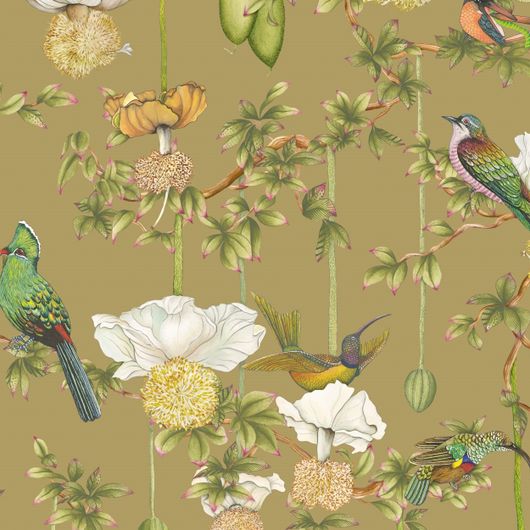 Детальный фрагмент флизелиновых обоев Baobab Botanica Safari арт. 129/2008 от Cole&Son каталог Ardmore Baobab, детальная прорисовка баобаба и роскошных птиц на оливково охристом фоне.