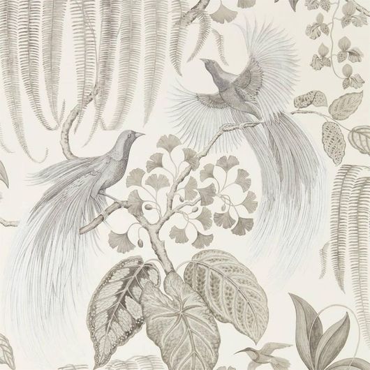 Заказать дизайнерские обои арт. 216652 из коллекции The Glasshouse от Sanderson с рисунком райских птиц в черно-белых тонах с бесплатной доставкой до дома