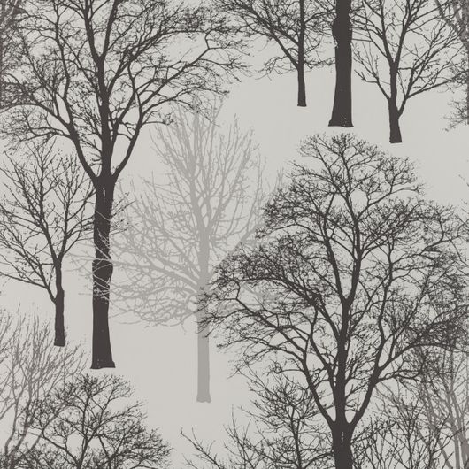 Флизелиновые обои из Швеции коллекция MODERN I от Collection FOR WALLS. Обои с изображением деревьев серого и темно-серого цвета на белом фоне. Обои для спальни, обои для гостиной, обои для кухни. Большой ассортимент, онлайн оплата, купить обои