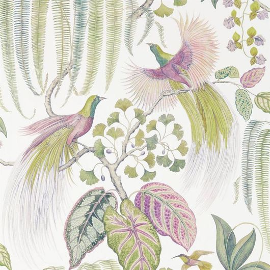 Флизелиновые обои  Bird of Paradise  арт. 216654 из коллекции The Glasshouse от производителя Sanderson с растительным акварельным рисунком райских птиц на белом фоне